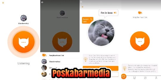Inilah Aplikasi Penerjemah Suara Kucing