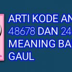 Arti Kode Angka 48678 Dan 24434 Meaning Bahasa Gaul