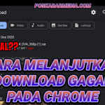Download Gagal Pada Chrome