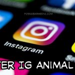Filter Ig Topi Animal Hat