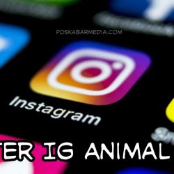 Filter Ig Topi Animal Hat