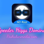 X8 Speeder Higgs Domino Apk
