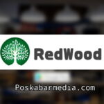 Apk Redwood Penghasil Uang