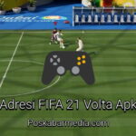 Adresi FIFA 21 Volta