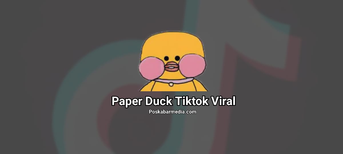 Paper Duck Tiktok Viral