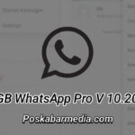 GB Whatsapp Pro V 10.20 Download