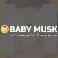 Cara Beli Baby Musk Coin