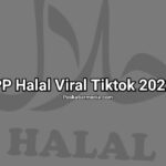 PP Halal Viral Tiktok