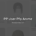 PP User Pfp Anime
