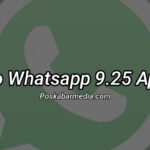 Yo Whatsapp 9.25 Apk