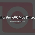 InShot Pro APK Mod Entsperrt