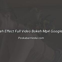 Film Bokeh Effect Full Video Bokeh Mp4 Google Chrome